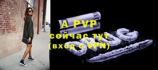 крисы Алексин