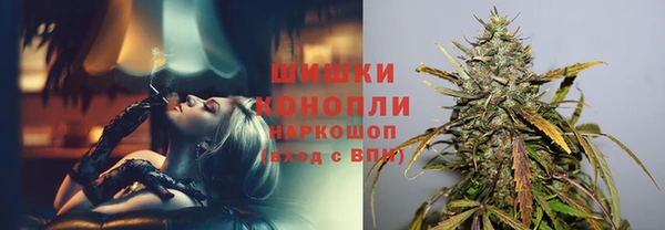 шишки Алзамай