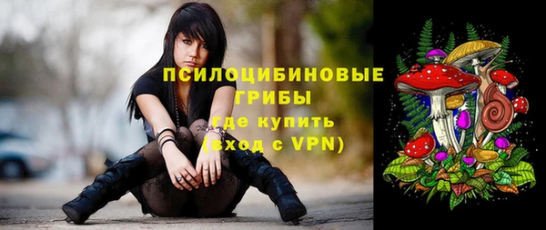 шишки Алзамай
