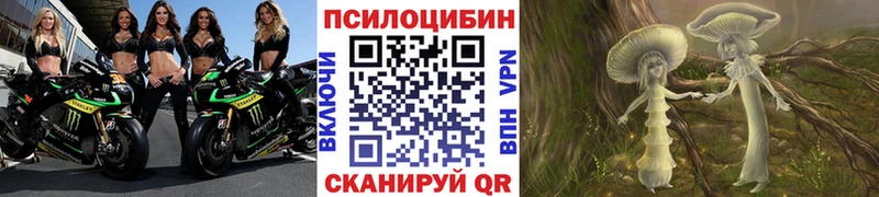 Псилоцибиновые грибы Cubensis  Обнинск 