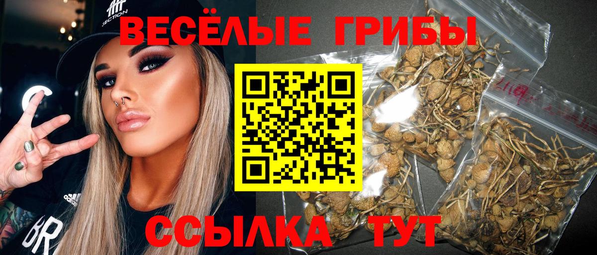 Галлюциногенные грибы ЛСД Обнинск